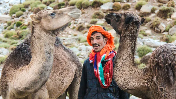 Camel train