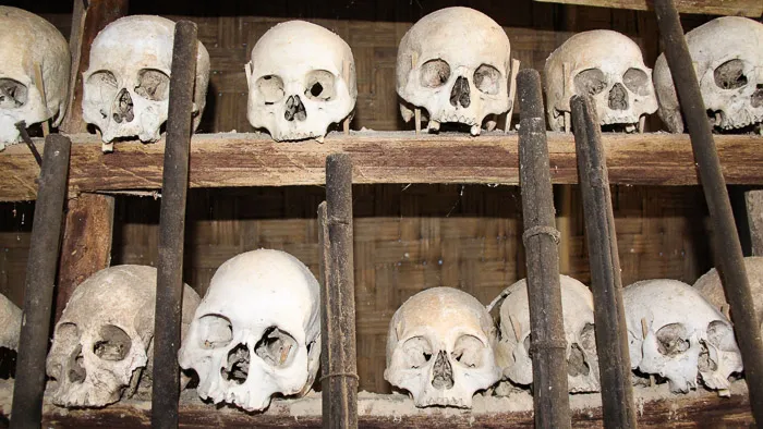 Skull Collection