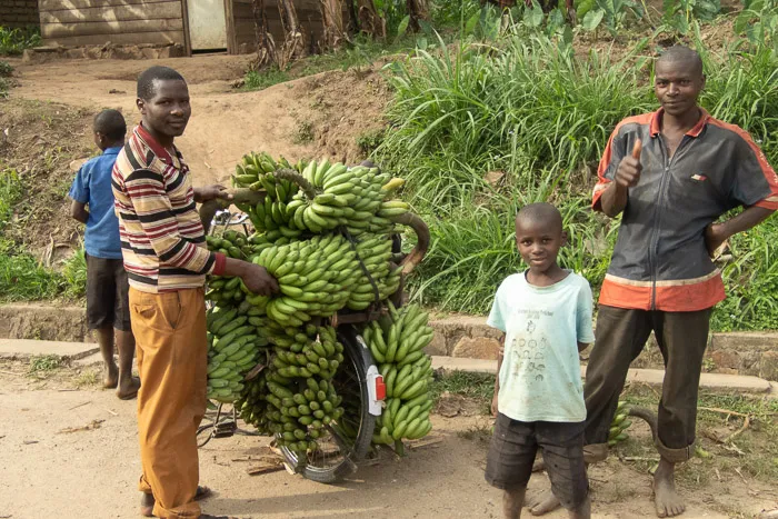 Banana bike