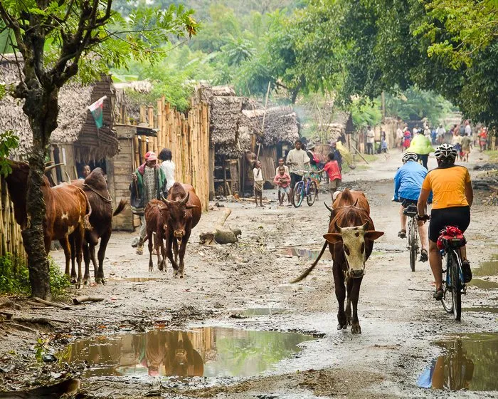 Village life
