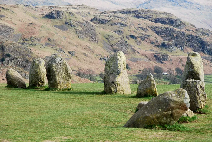 Some of the Lake District's many residents, Langdale
