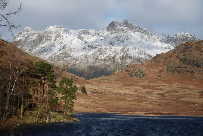 Some of the Lake District's many residents, Langdale
