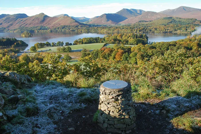 Some of the Lake District's many residents, Langdale