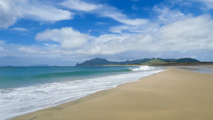 Kauri Mountain beach, North Island