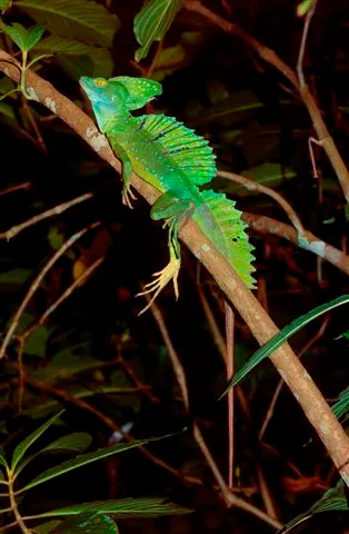 Costa Rica
