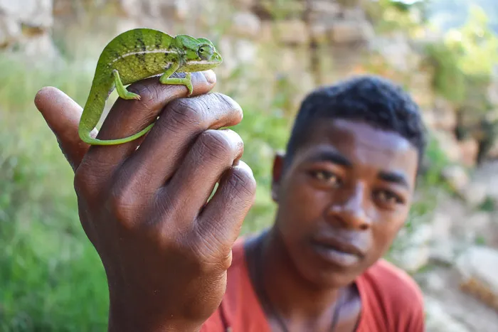Sakalava militiaman with chameleon