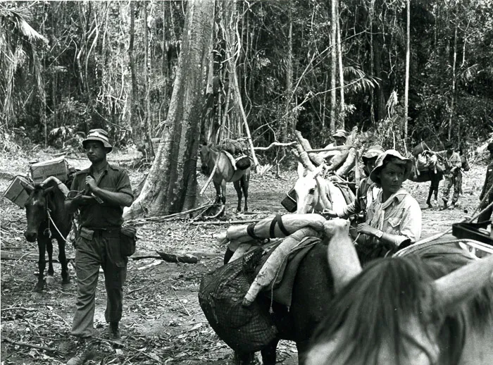 At the Panama Colombia border