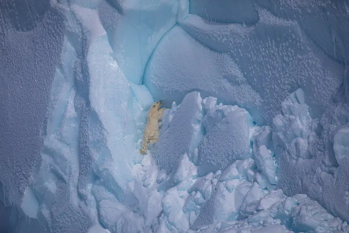 Tombstone in the iceberg graveyard, Antarctica