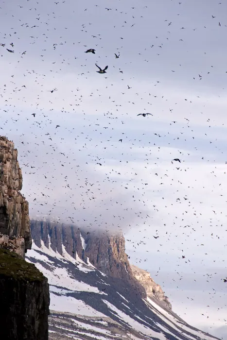Isfjord, Spitsbergen's largest fjord