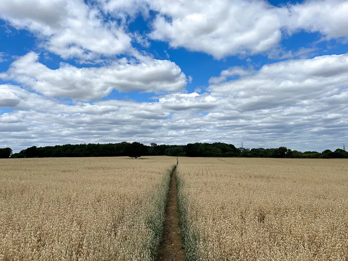 John Bunyan trail