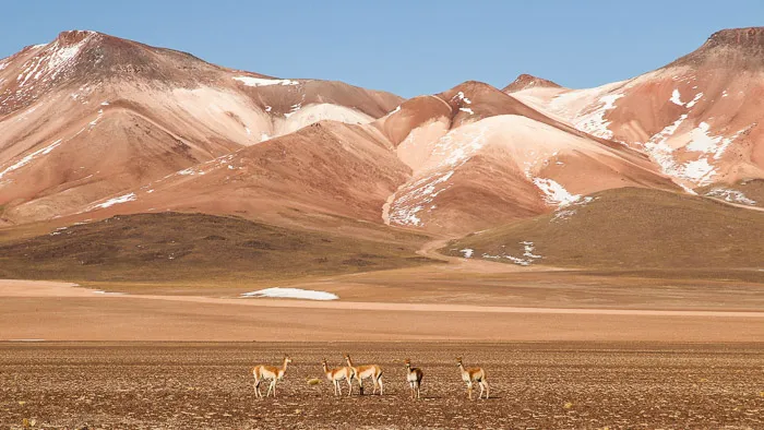 Crossing the Salar de Uyuni