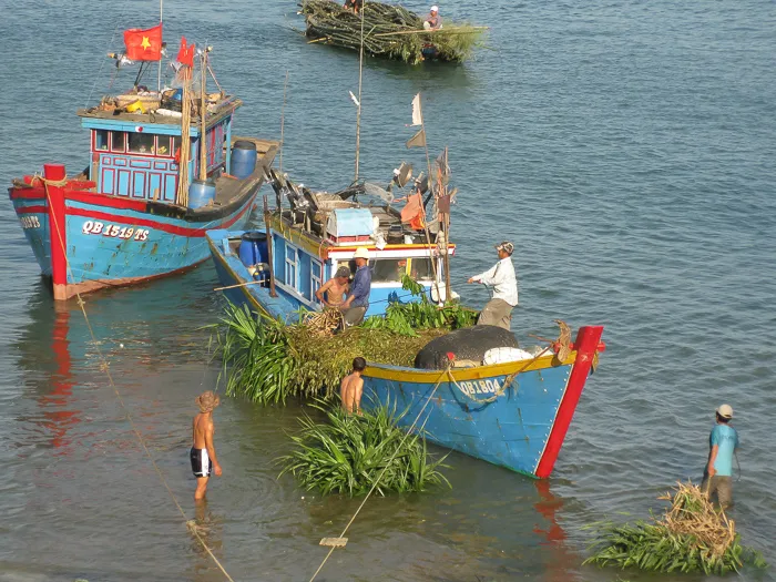 Traditional Transport