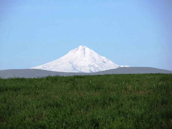 Photograph from In Search of Tierra del Fuego