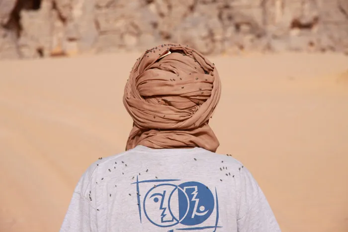 The growing number of flies indicate an oasis