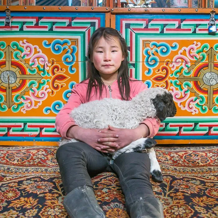 Young Mongolian girl inside her ger, and lamb! © Kairi Aun
